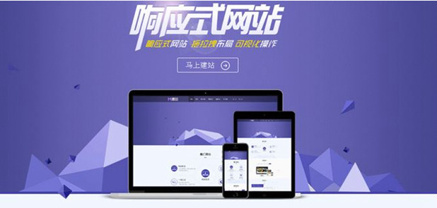 网站bst365最新正规买球怎么设计